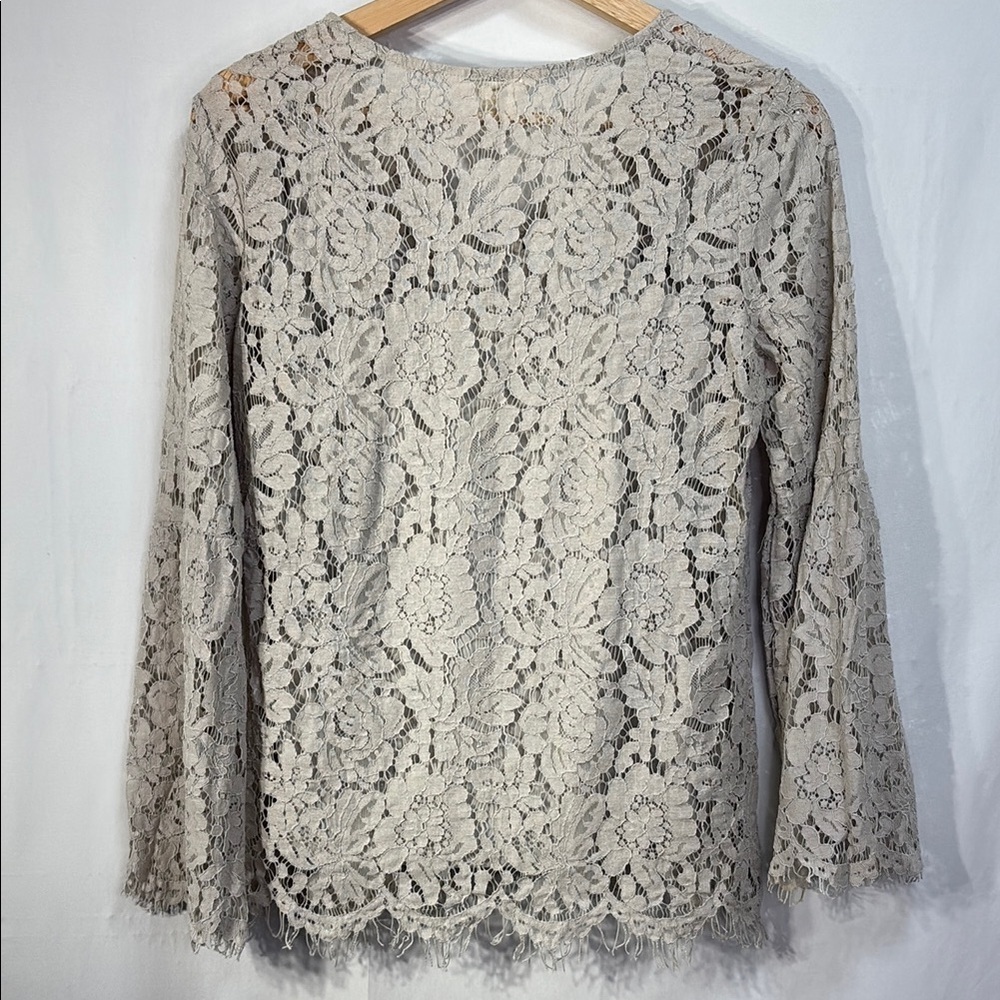 🔗 Adiva taupe Long Sleeve cotton Lace v neck Blouse - Picture 7 of 7